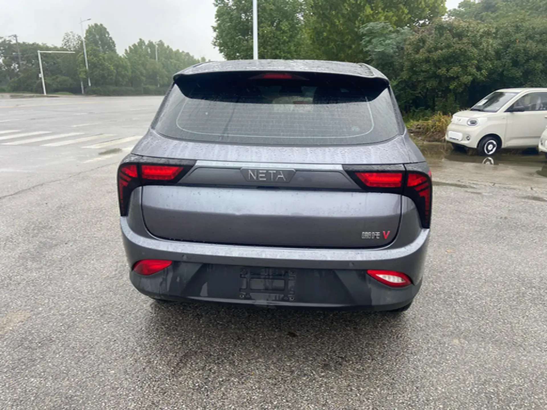 2021 NETA V thumbnail 4