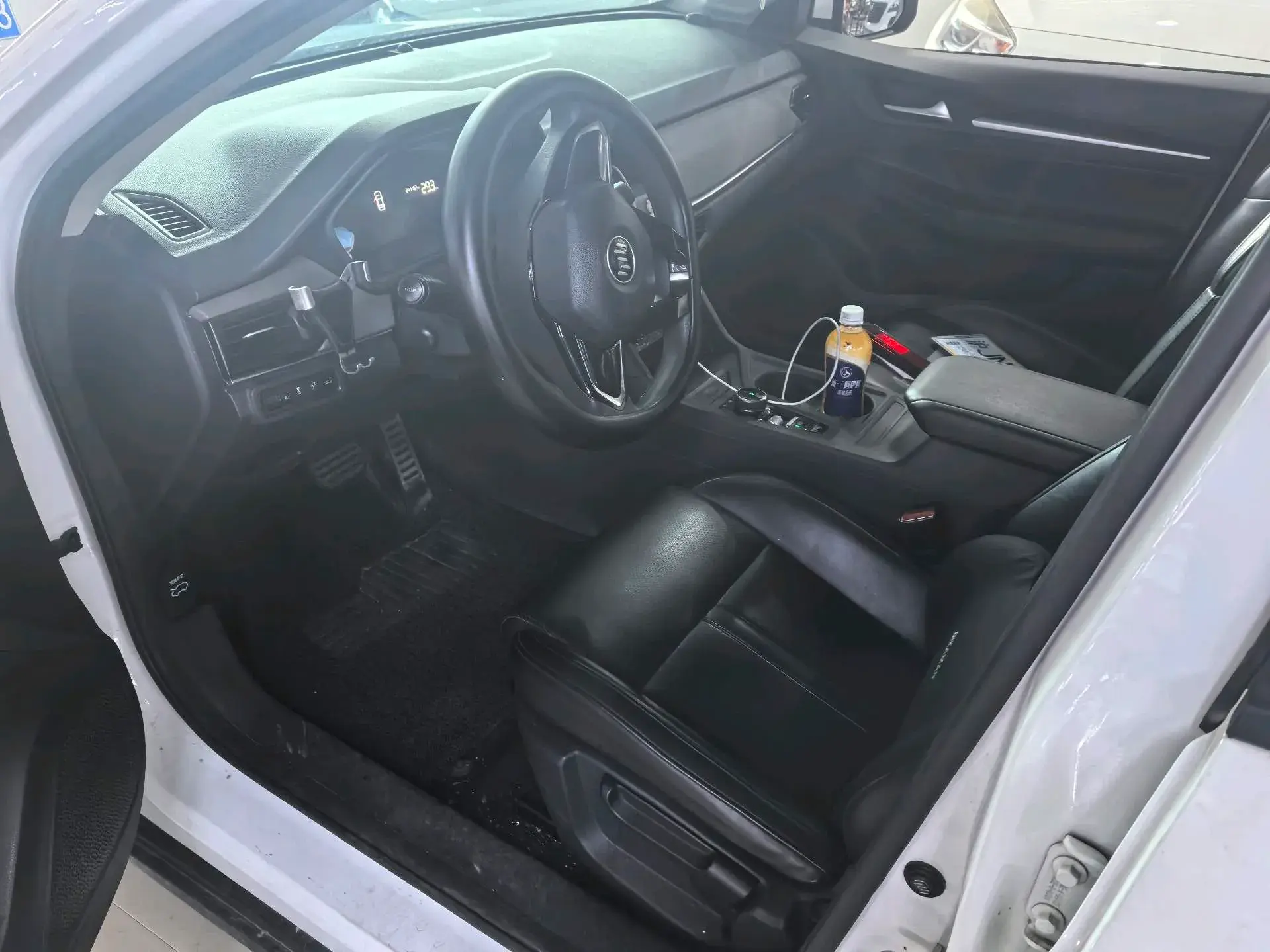 2021 WELTMEISTER E.5 thumbnail 4