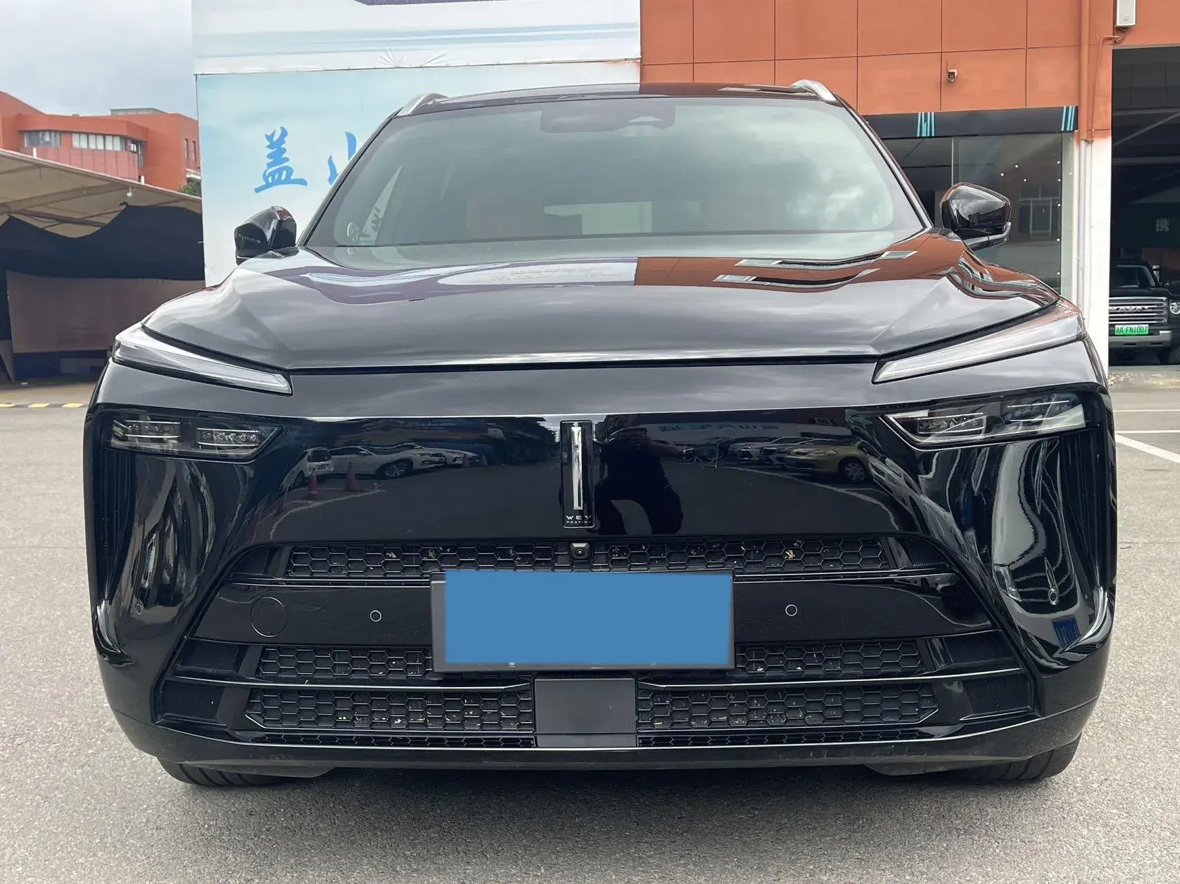 2023 WEY BLUEMOUNTAIN thumbnail 2