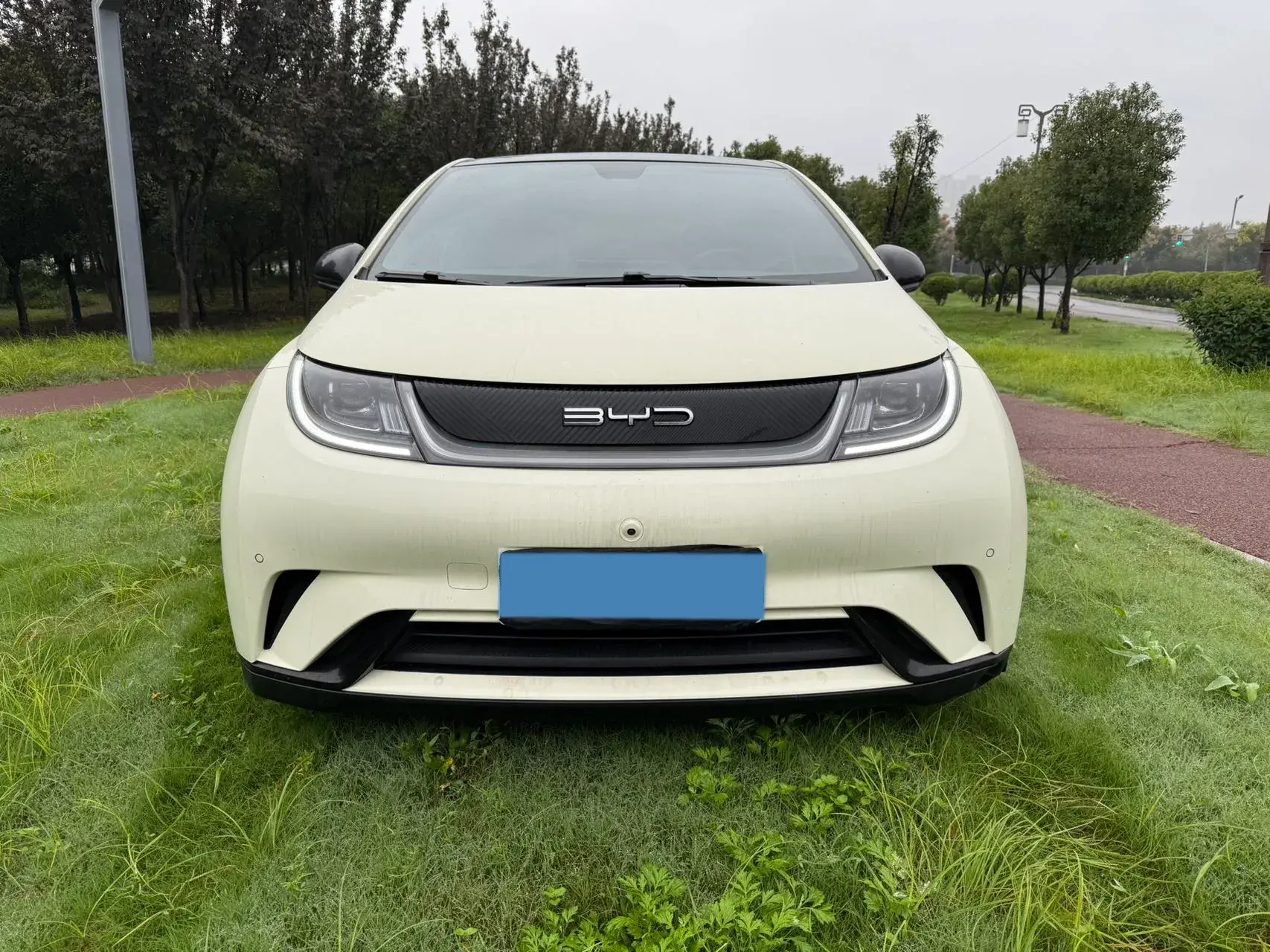 2023 BYD DOLPHIN thumbnail 2