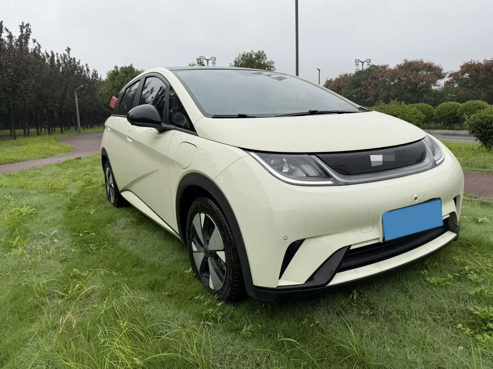 2023 BYD DOLPHIN thumbnail 3