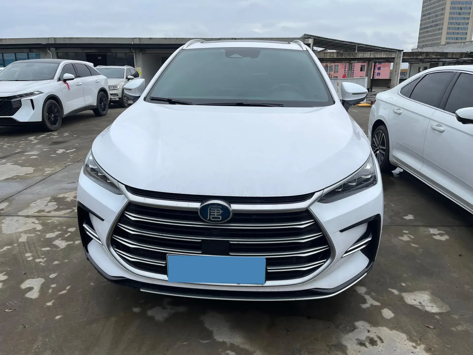 2021 BYD TANG thumbnail 2