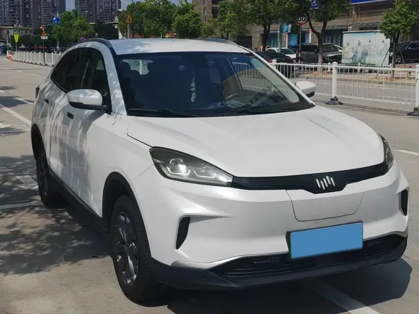 2020 WELTMEISTER EX5 thumbnail 3