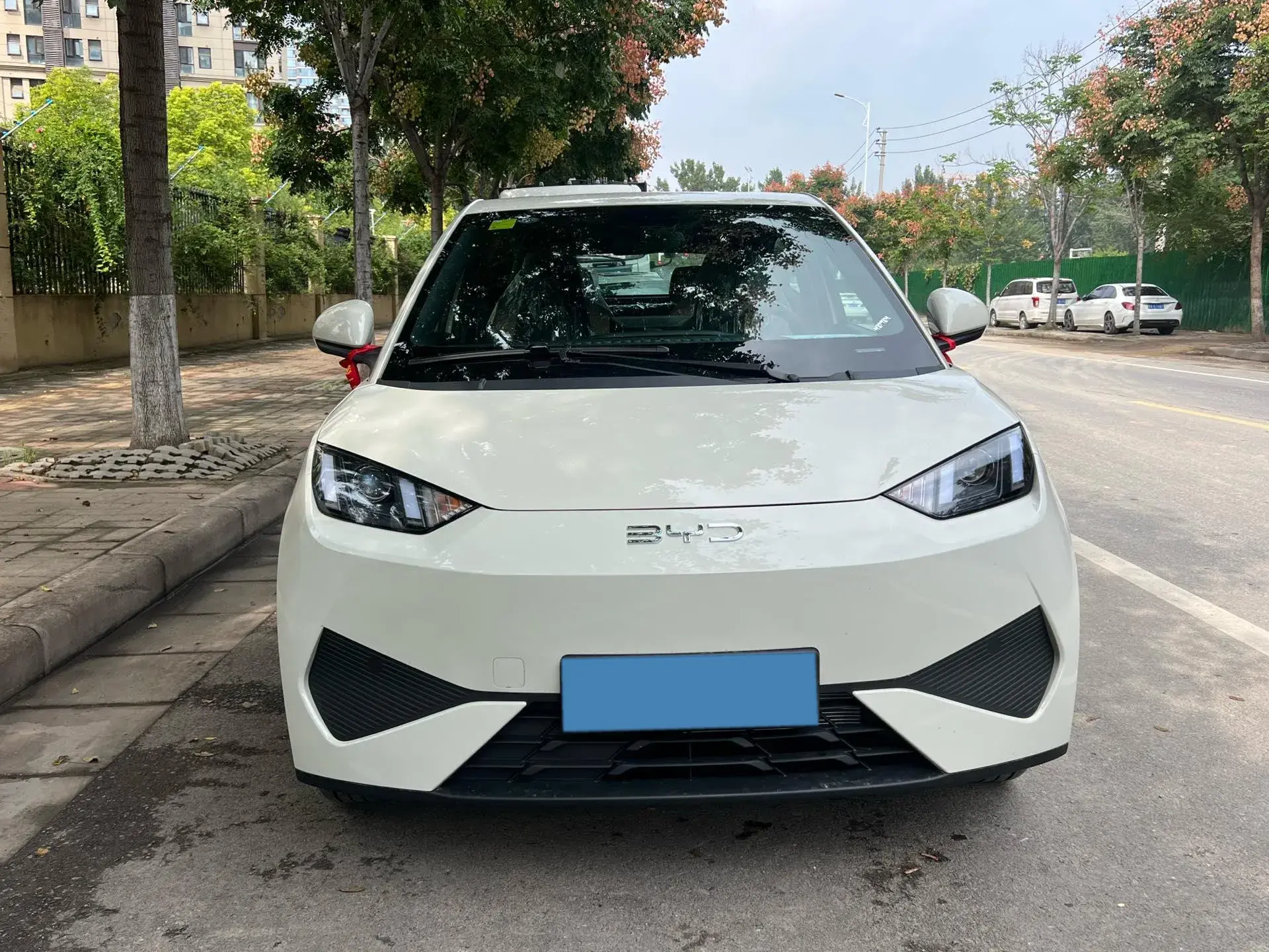 2025 BYD SEAGULL thumbnail 2