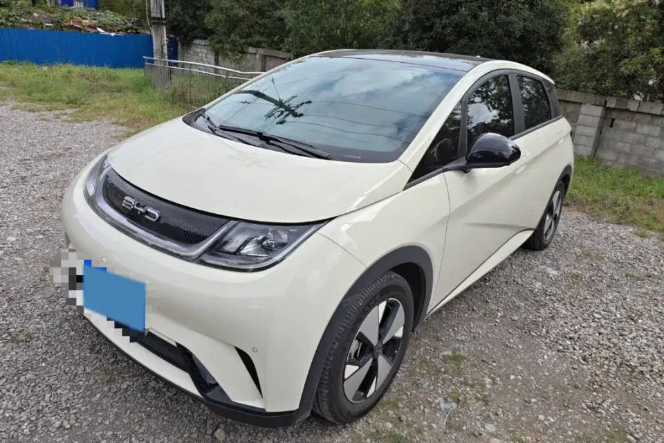 2023 BYD DOLPHIN view 1