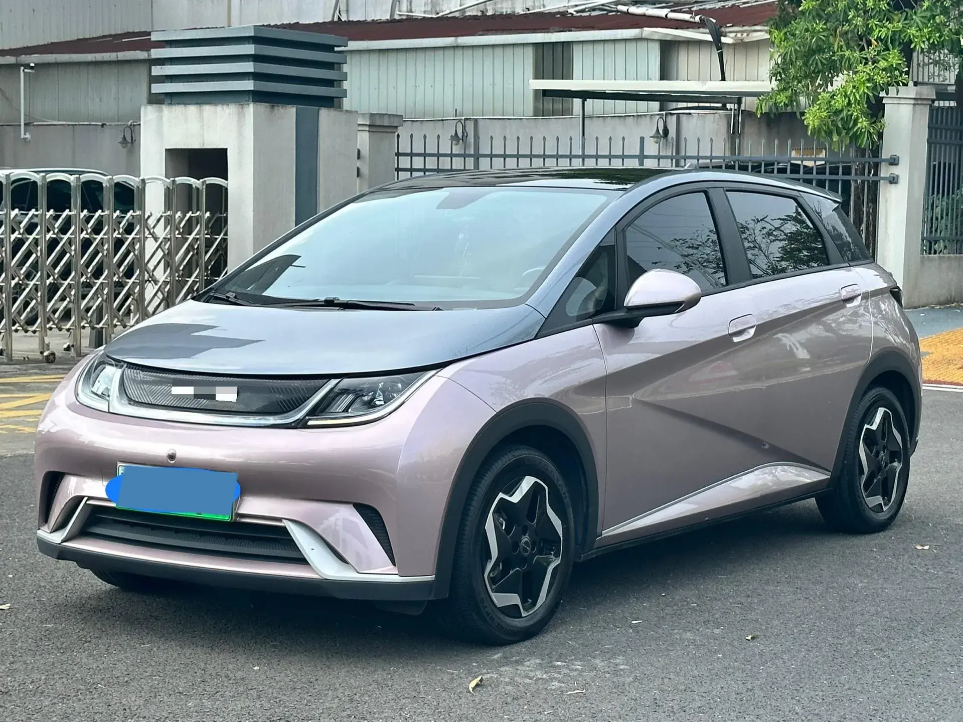 2021 BYD DOLPHIN view 1