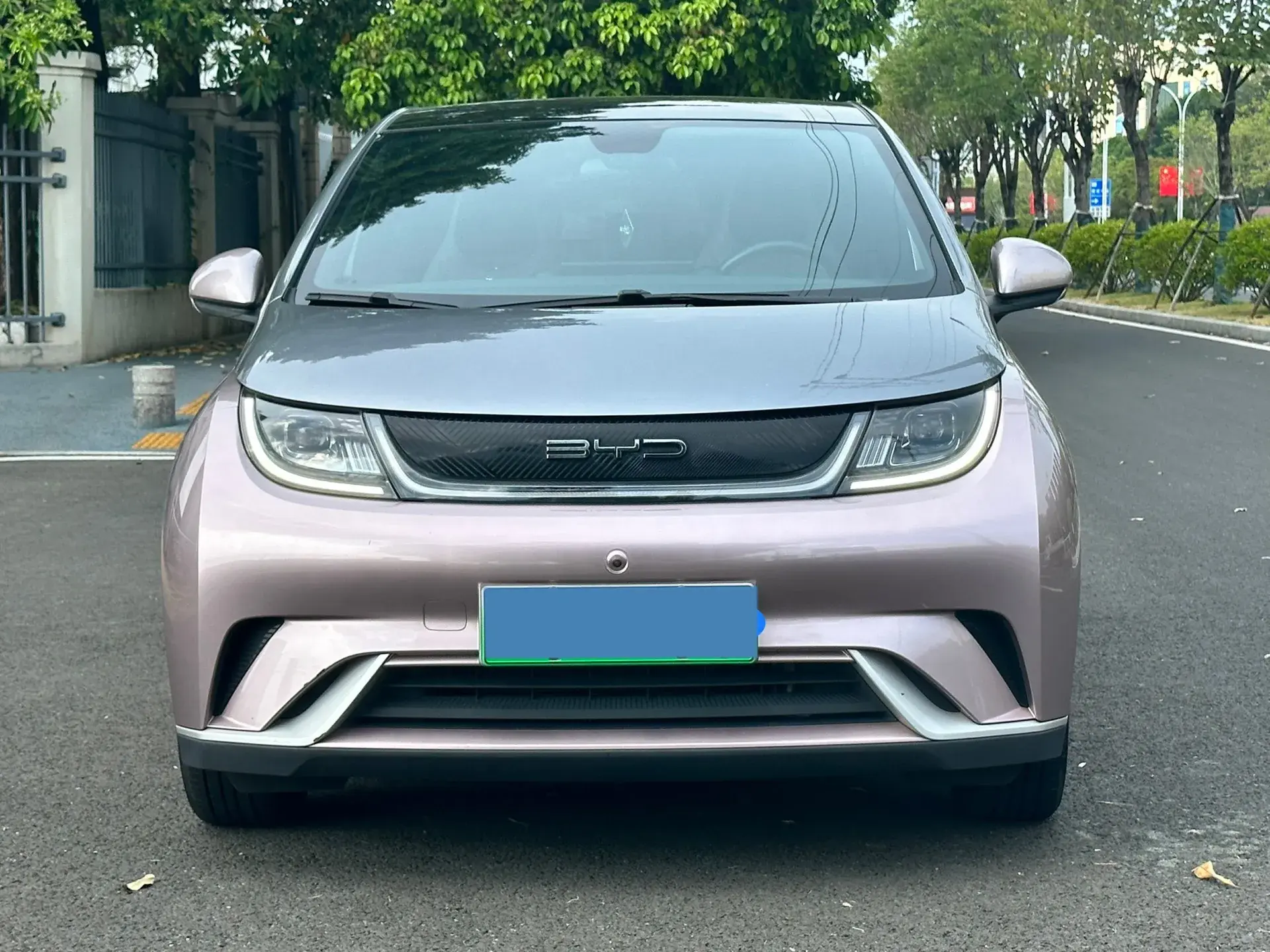 2021 BYD DOLPHIN thumbnail 2