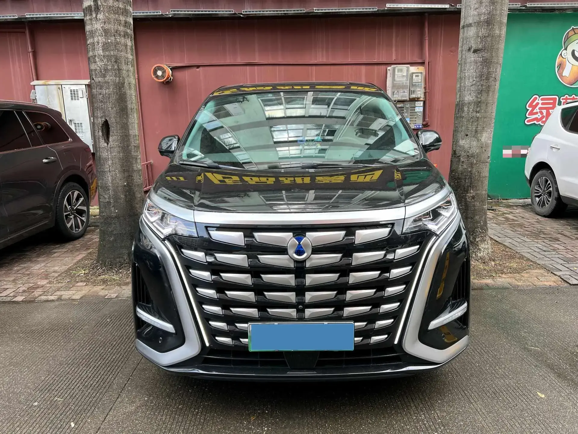 2022 DENZA D9 thumbnail 2