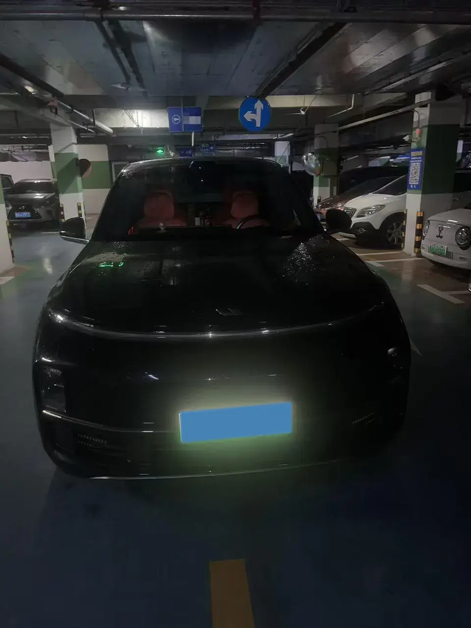 2022 LI L9 thumbnail 3