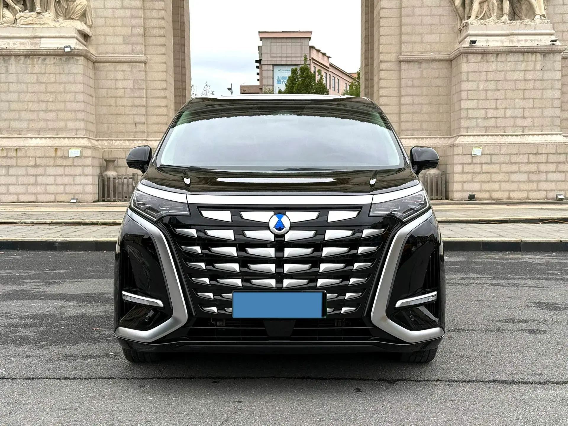 2024 DENZA D9 thumbnail 2