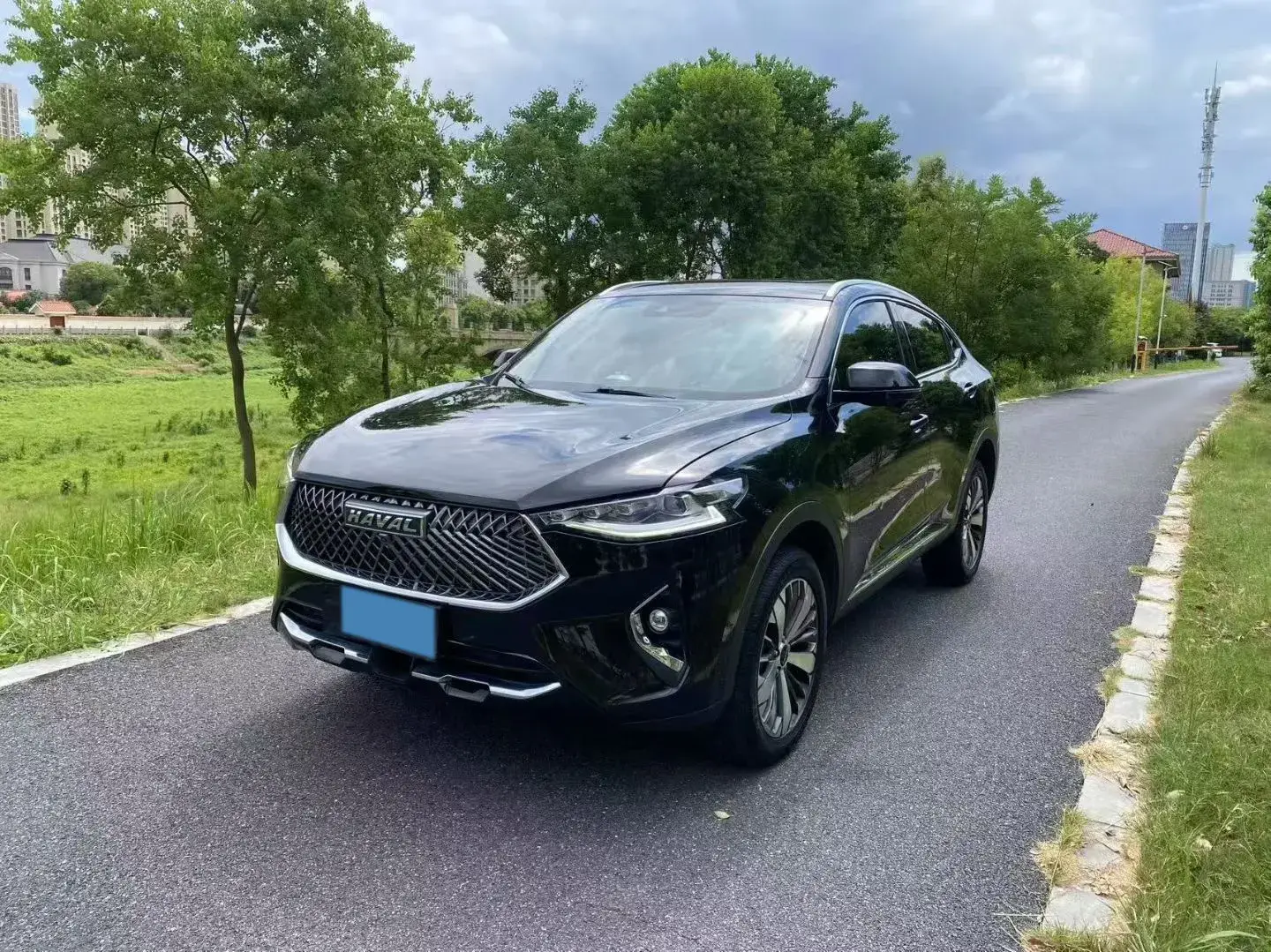 2019 HAVAL F7X view 1