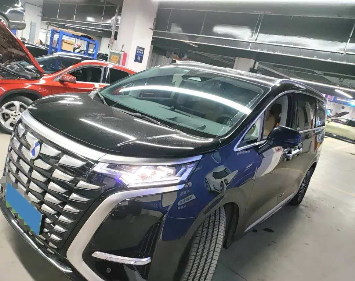 2022 DENZA D9 view 1