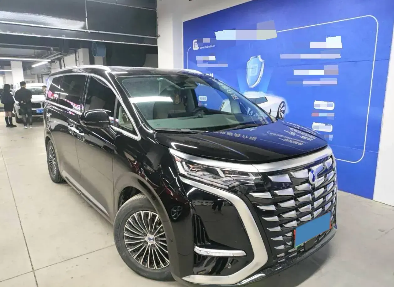 2022 DENZA D9 thumbnail 2