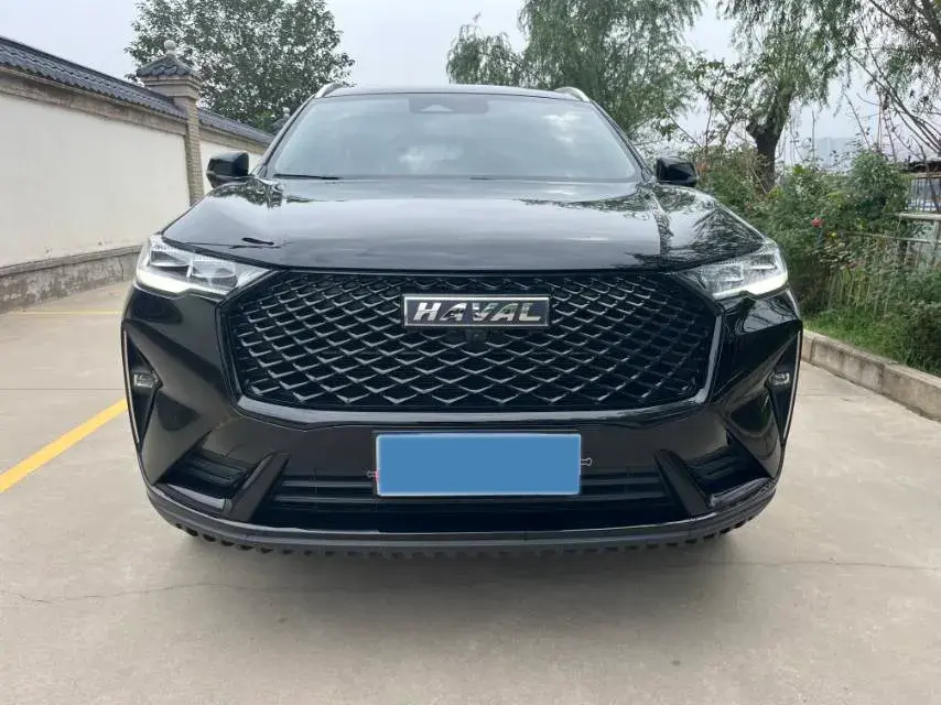 2021 HAVAL H6 thumbnail 2