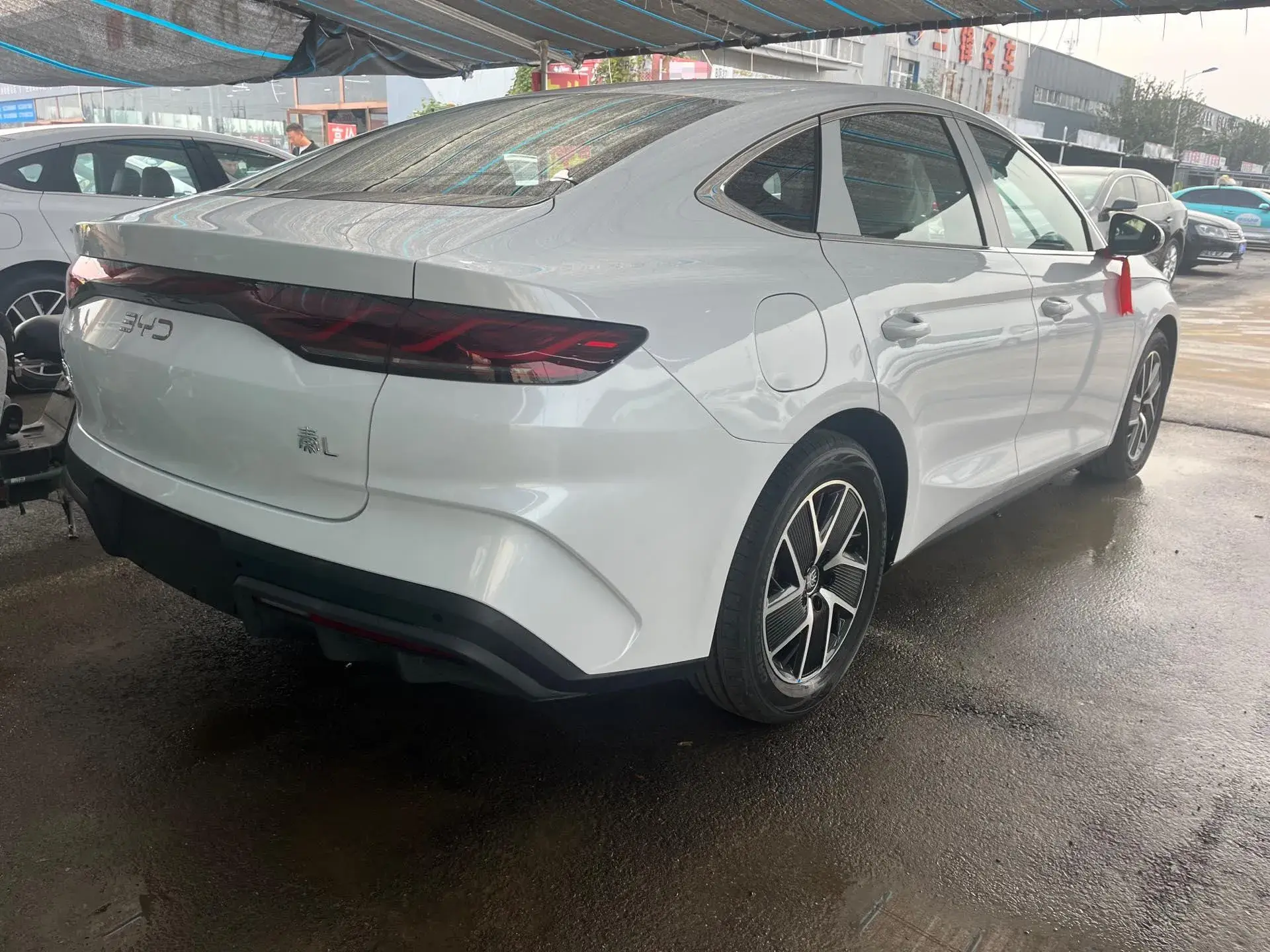 2024 BYD QINL thumbnail 4