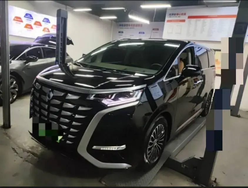 2022 DENZA D9 view 1