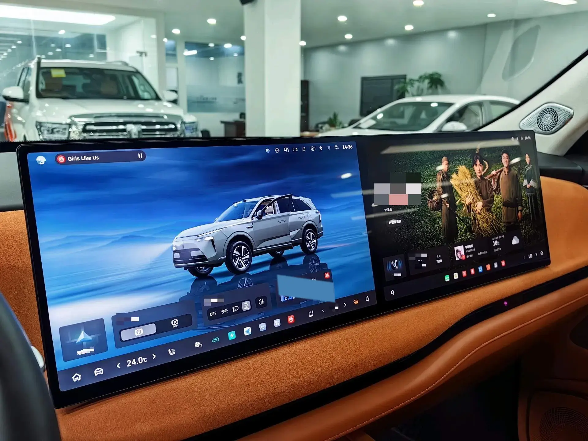 2025 WEY BLUEMOUNTAIN thumbnail 3