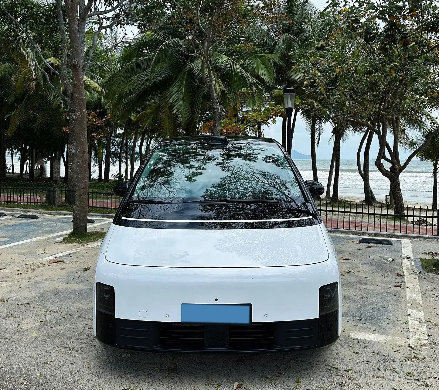 2024 LI MEGA thumbnail 3