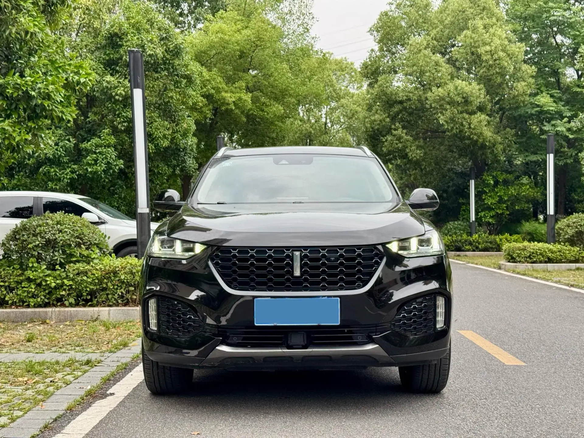 2018 WEY VV6 thumbnail 2