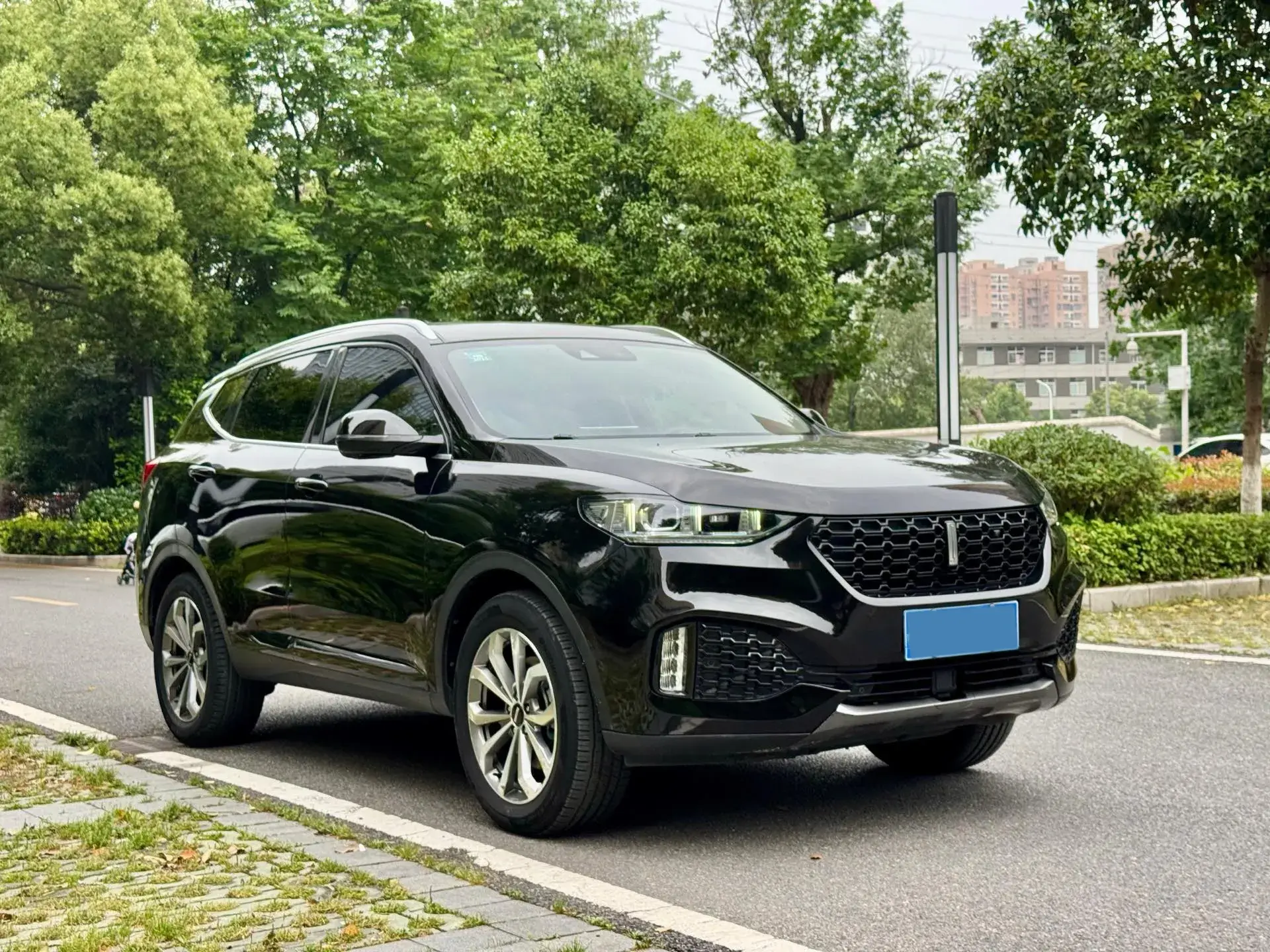 2018 WEY VV6 thumbnail 3