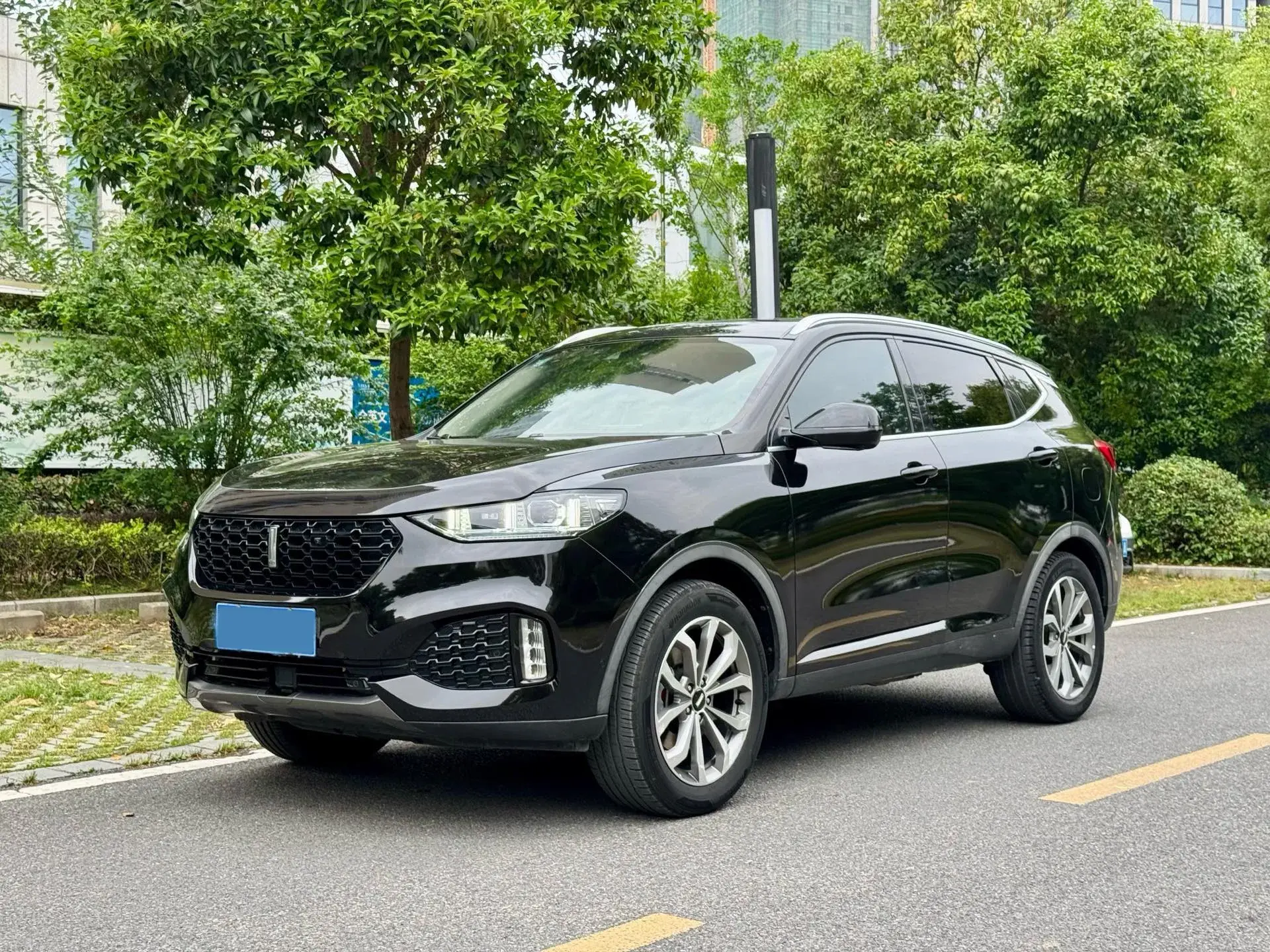 2018 WEY VV6 view 1