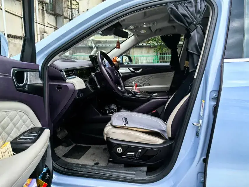 2022 WEY LATTE thumbnail 3