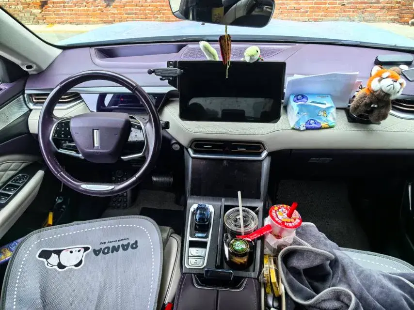 2022 WEY LATTE thumbnail 4