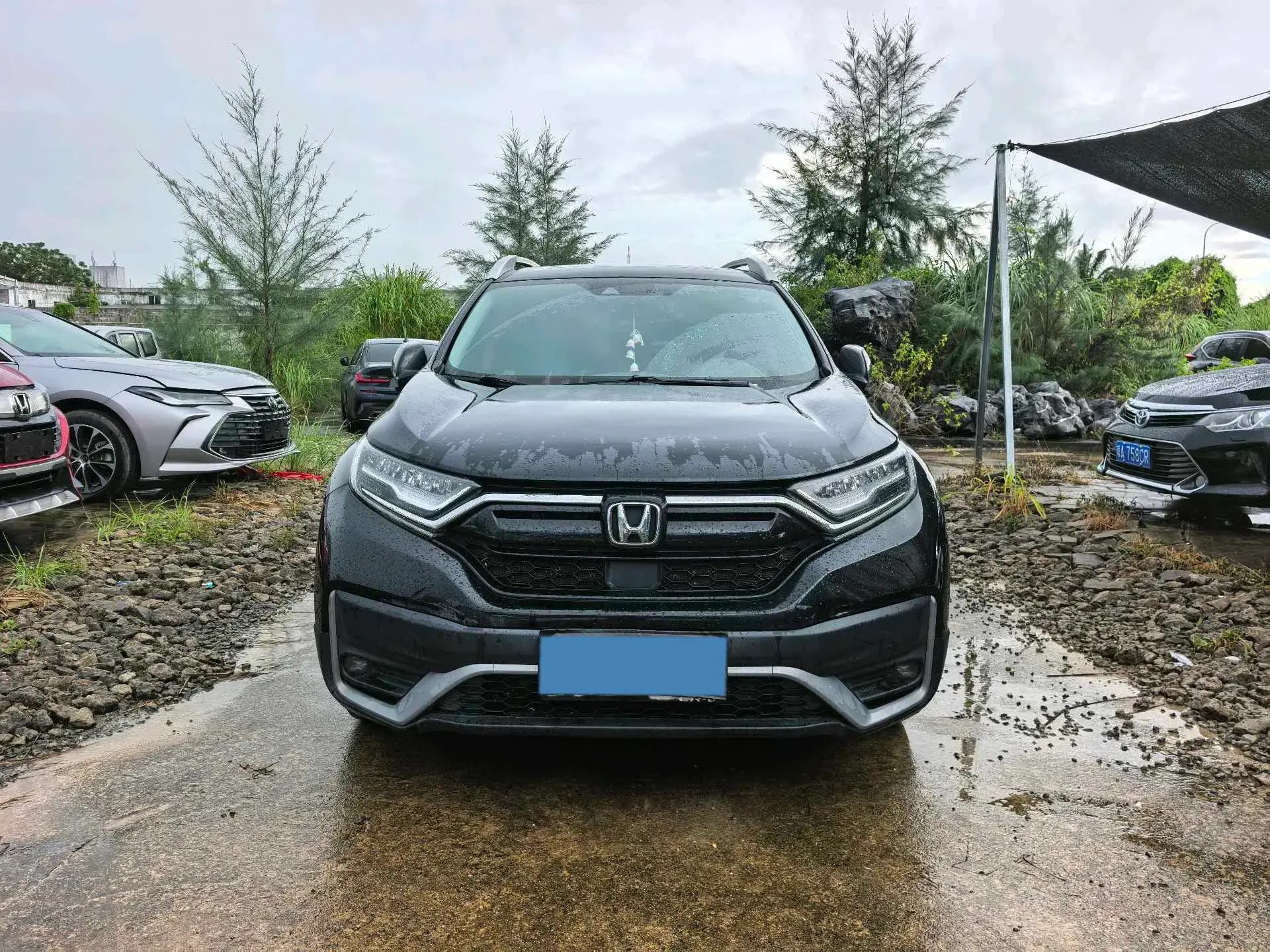 2021 HONDA CR-V thumbnail 2