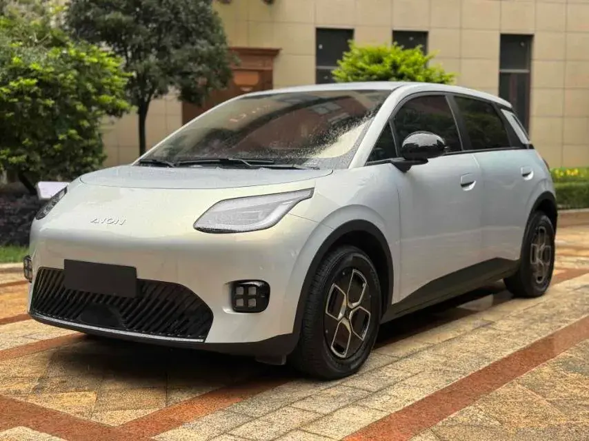 2025 AION AION view 1