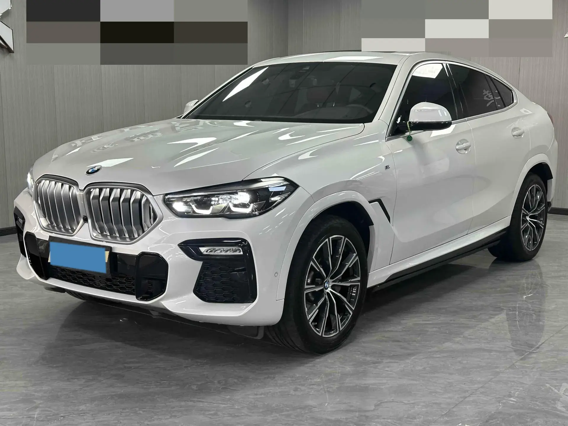 2020 BMW X6 view 1