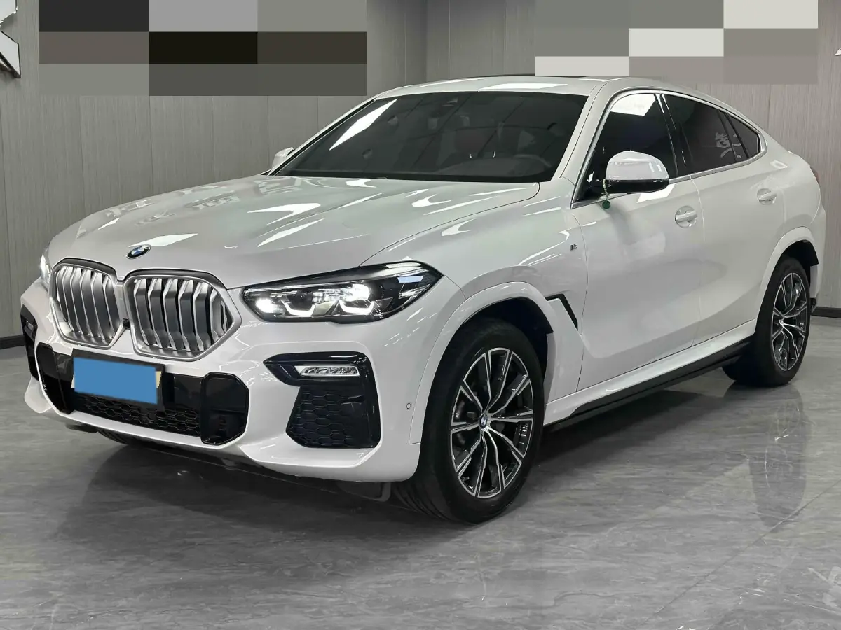 2020 BMW X6 2.0T 265HP L4 8AT