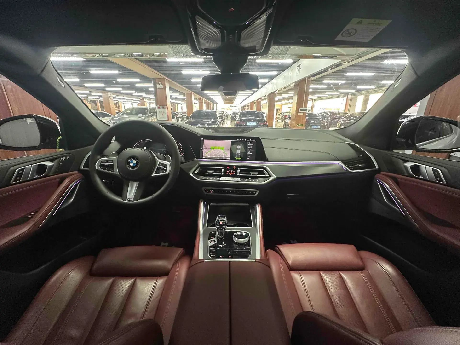 2020 BMW X6 thumbnail 4