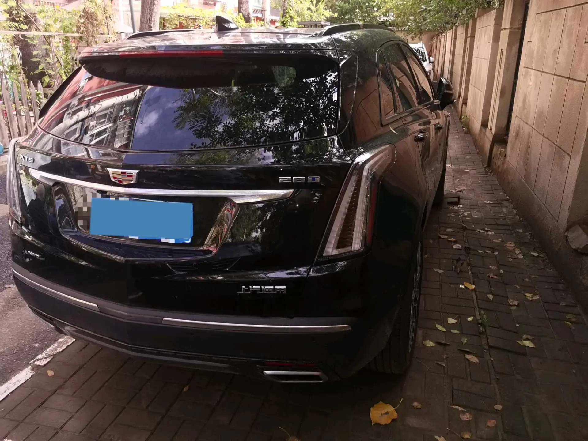 2022 CADILLAC XT5 thumbnail 2