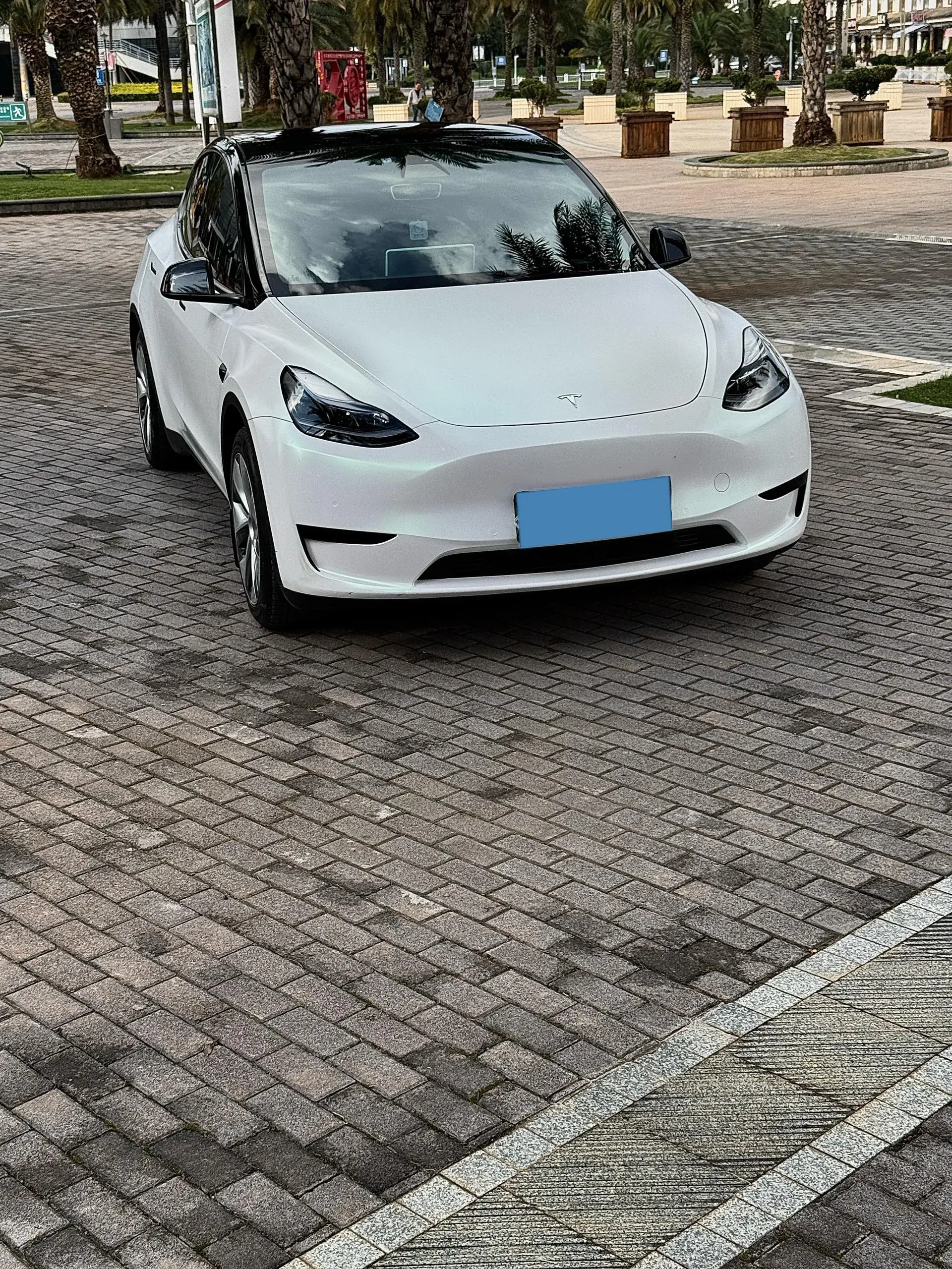 2022 TESLA MODEL thumbnail 4