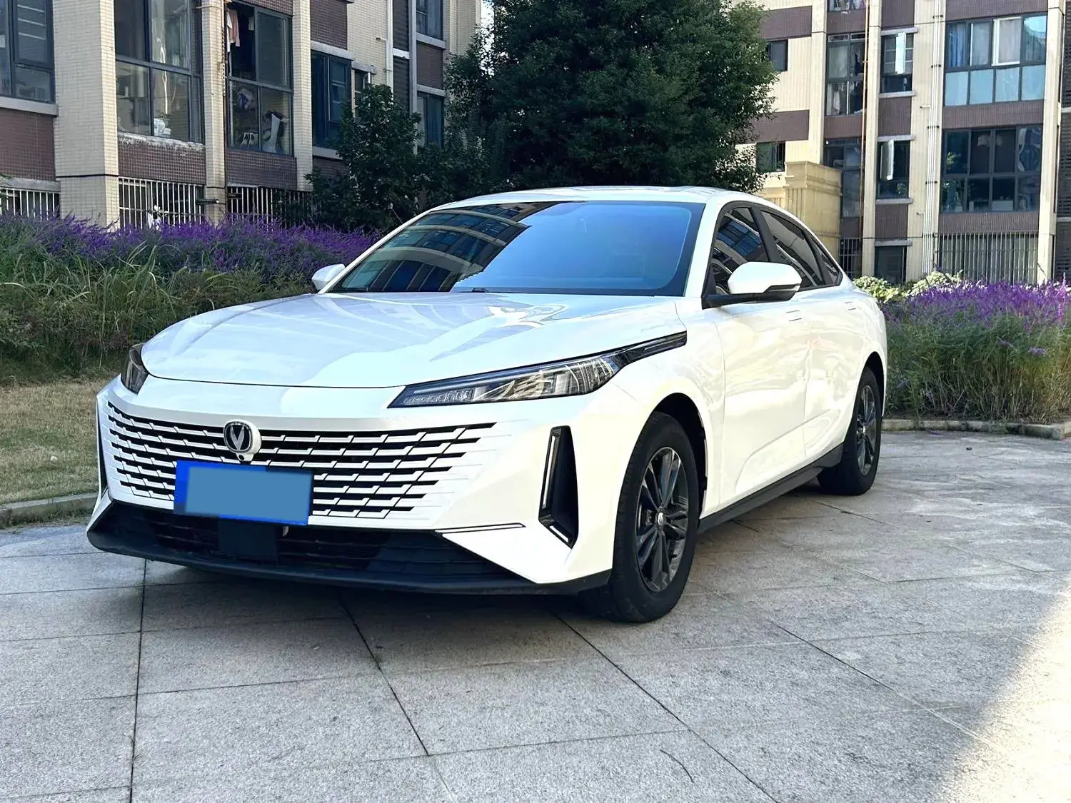 2023 CHANGAN LAMORE view 1