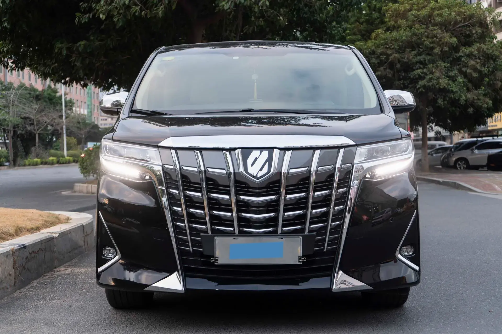 2018 TOYOTA ALPHARD thumbnail 2