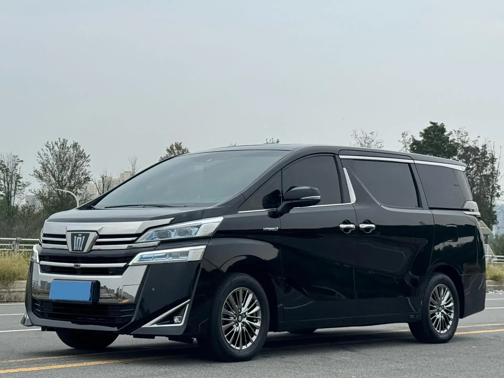 2021 TOYOTA VELLFIRE view 1