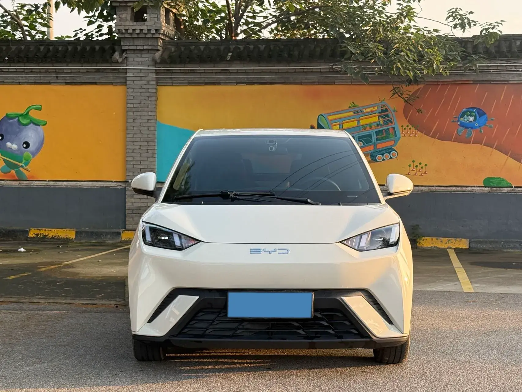 2023 BYD SEAGULL thumbnail 2