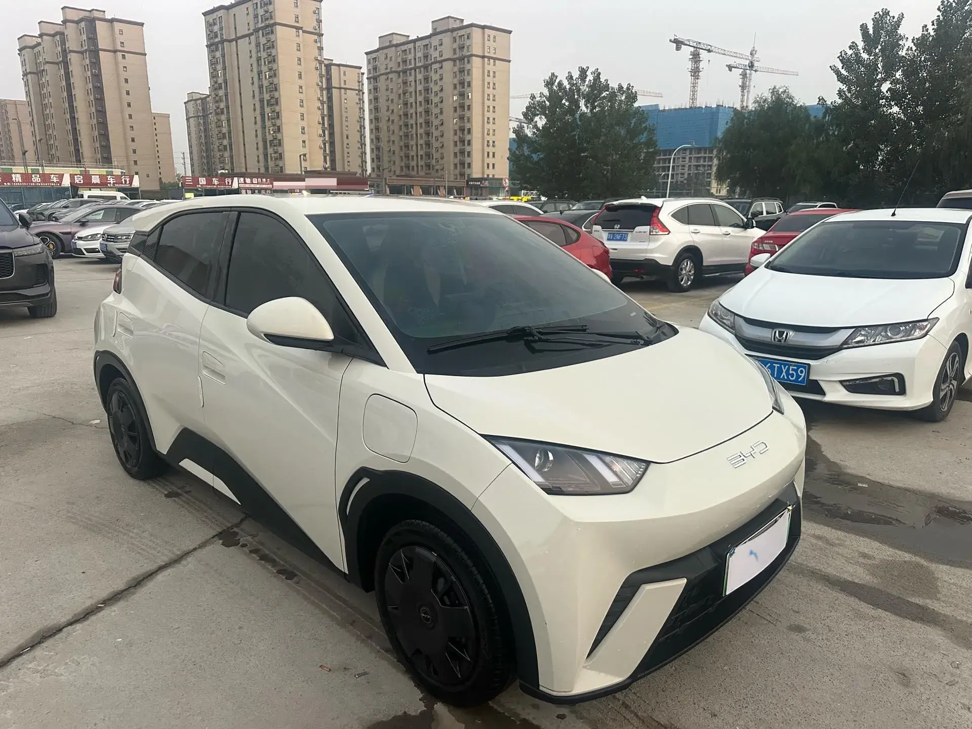 2023 BYD SEAGULL thumbnail 3