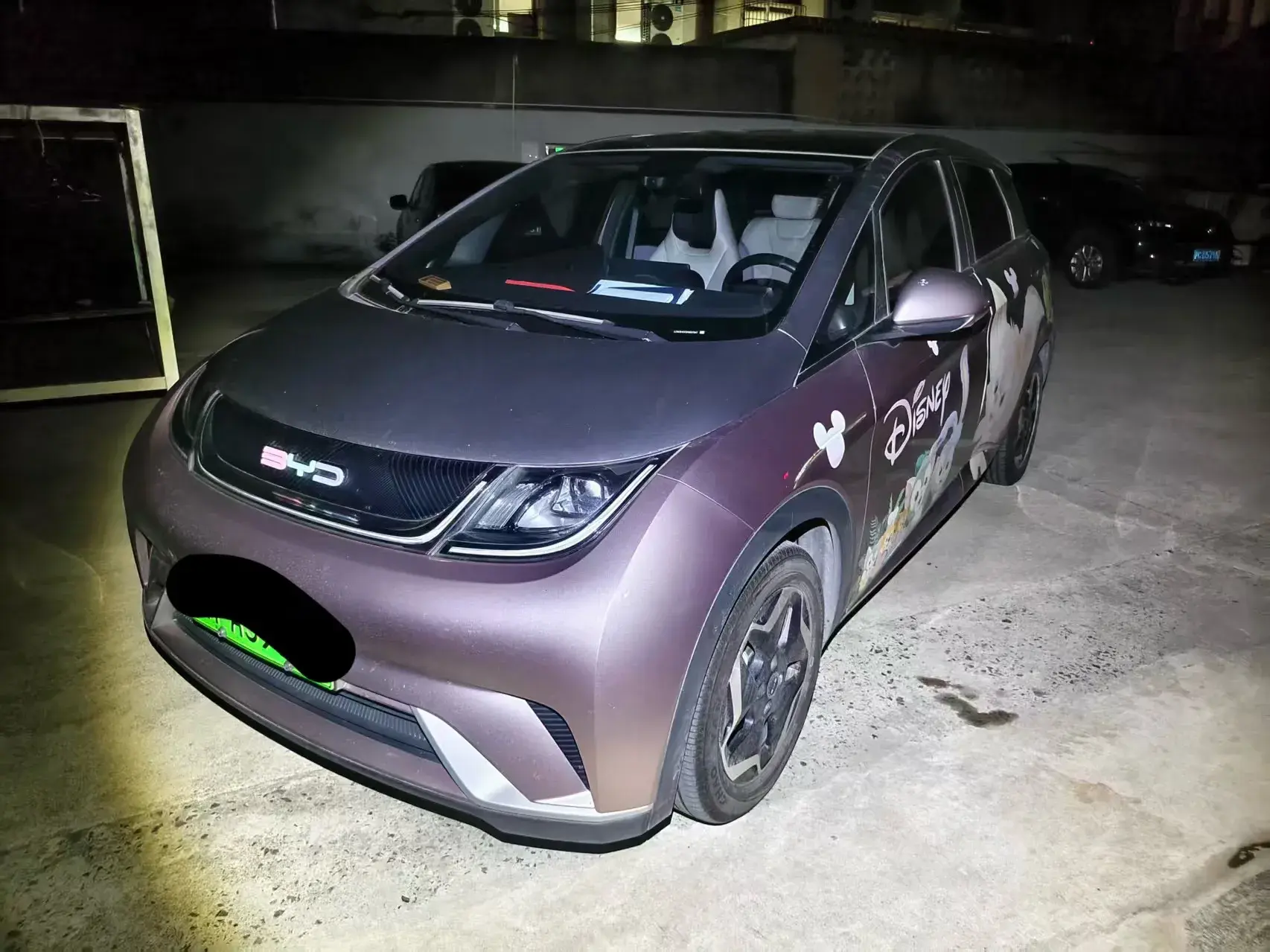 2021 BYD DOLPHIN view 1