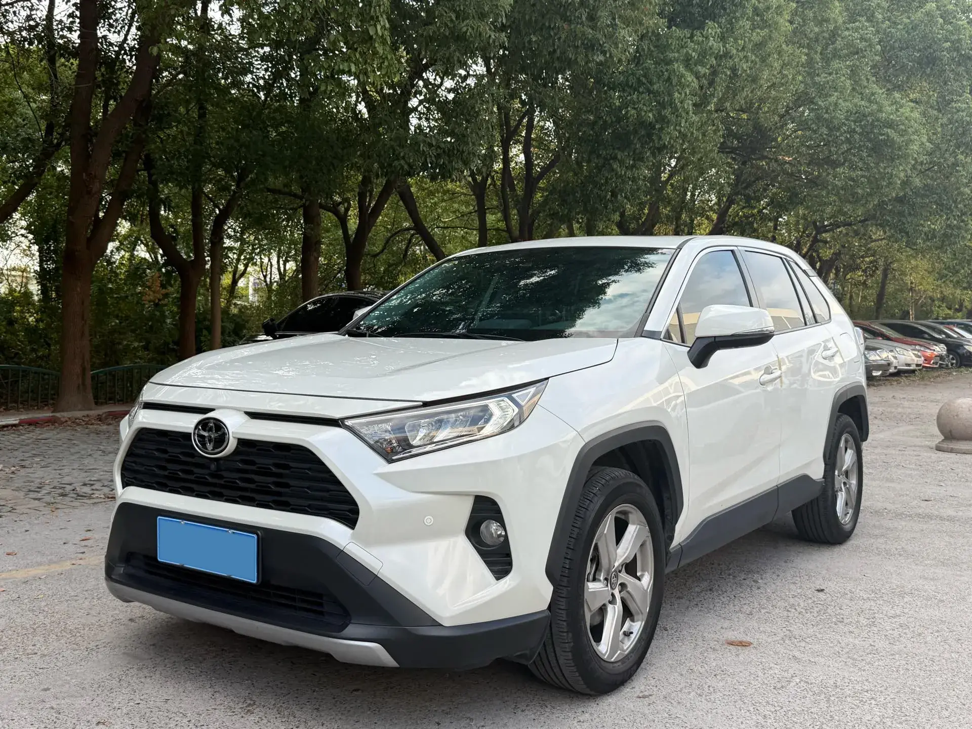 2020 TOYOTA RAV4 view 1