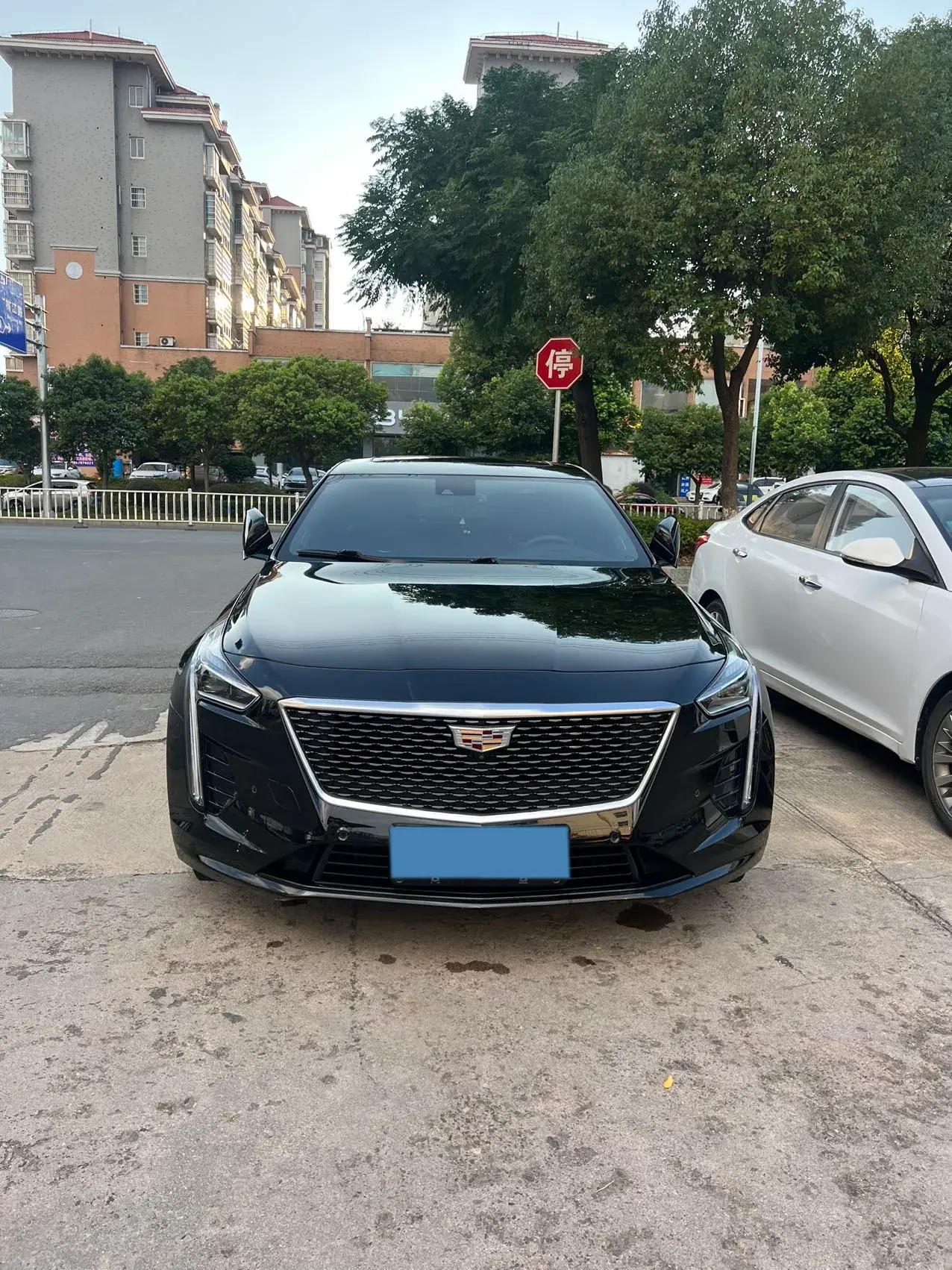 2021 CADILLAC CT6 thumbnail 2