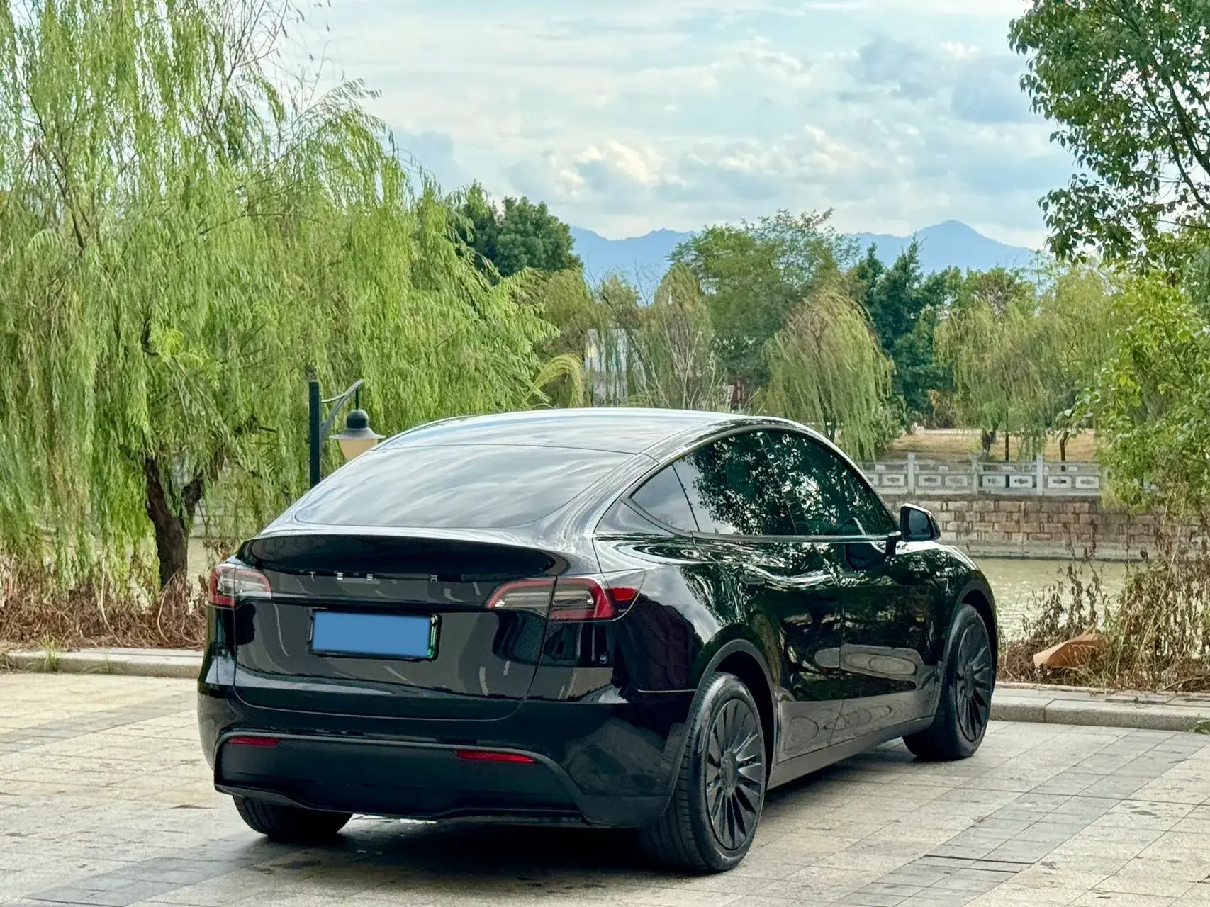 2021 TESLA MODEL thumbnail 4