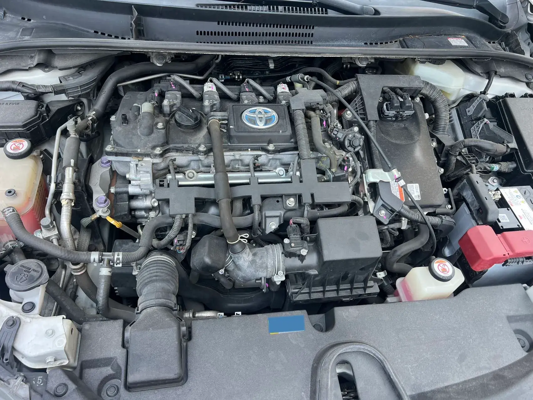 2019 TOYOTA LEVIN thumbnail 4