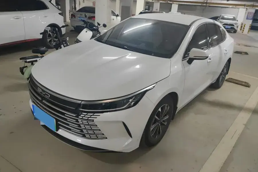2023 BYD DESTROYER view 1