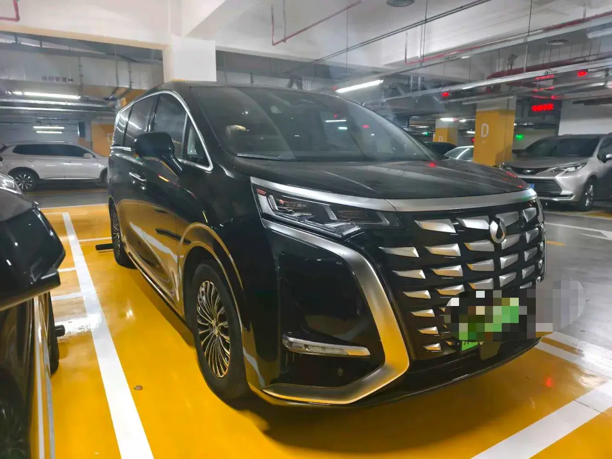 2022 DENZA D9 thumbnail 3