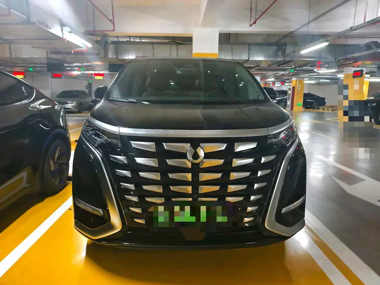 2022 DENZA D9 thumbnail 2