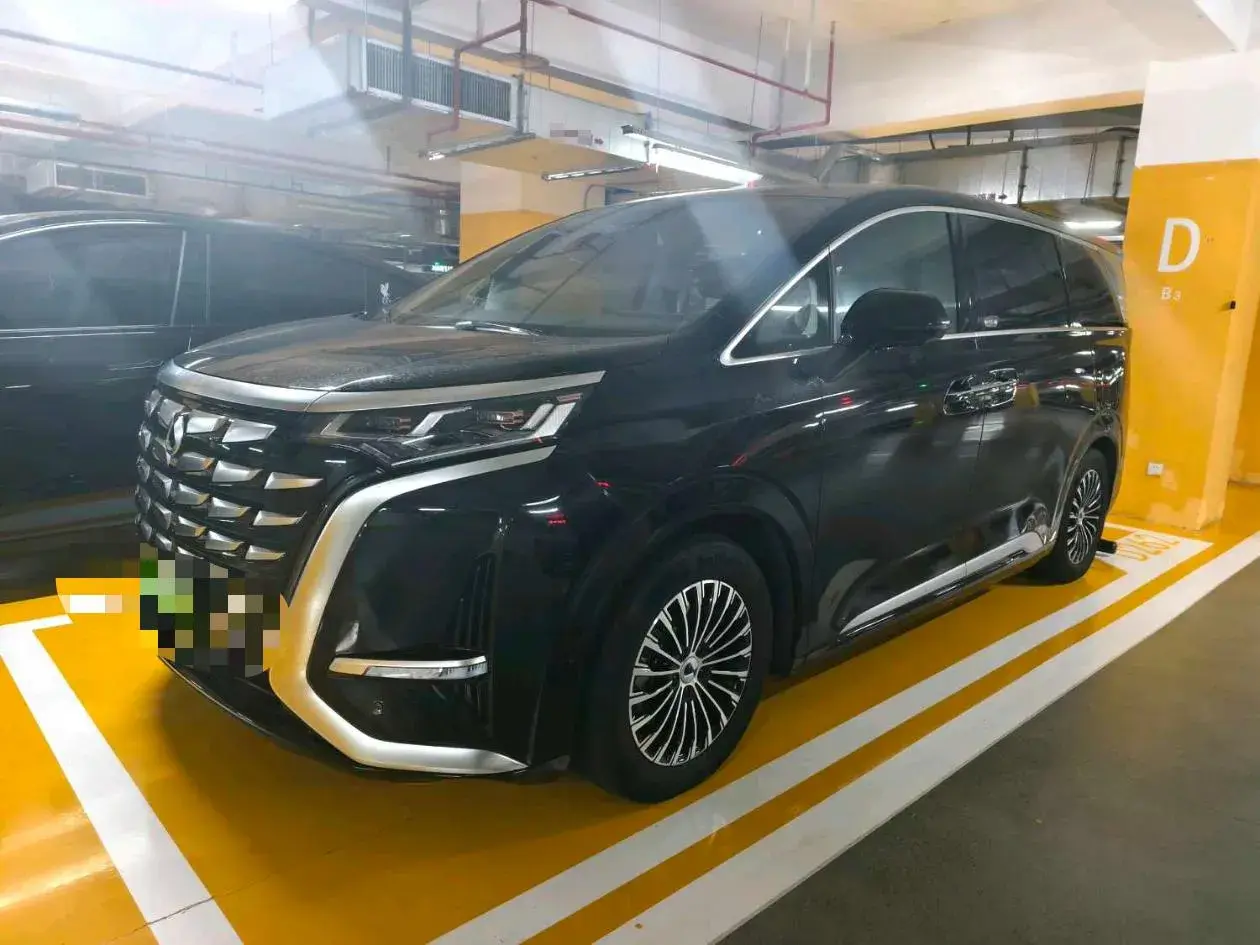 2022 DENZA D9 view 1