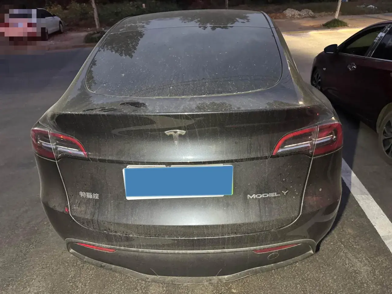 2024 TESLA MODEL thumbnail 4