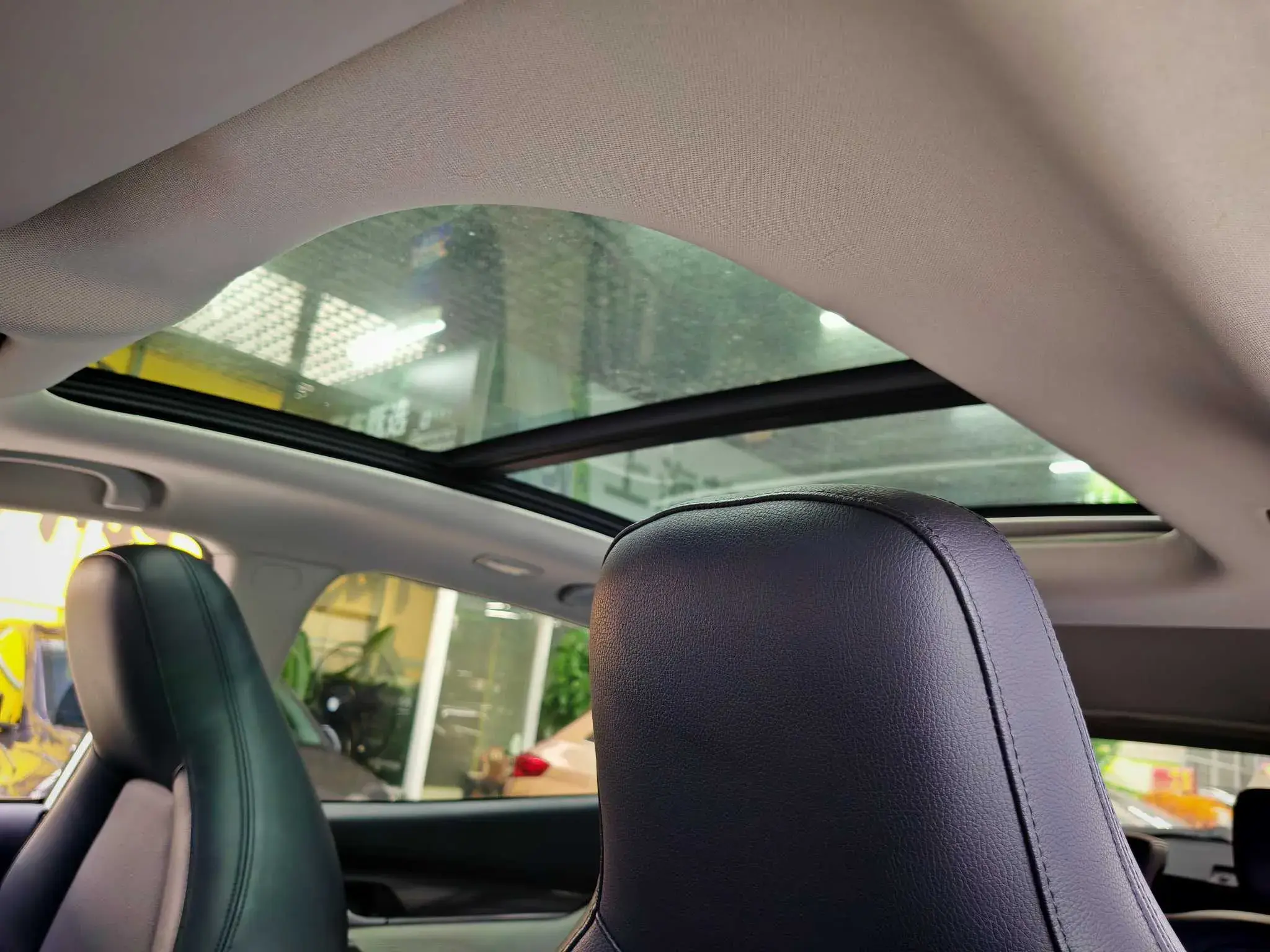 2019 WELTMEISTER EX5 thumbnail 4